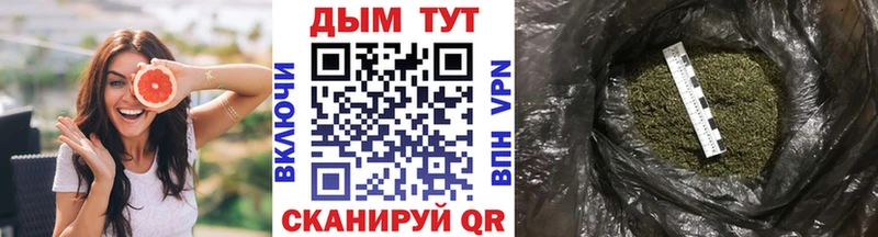Канабис сатива  Высоцк 